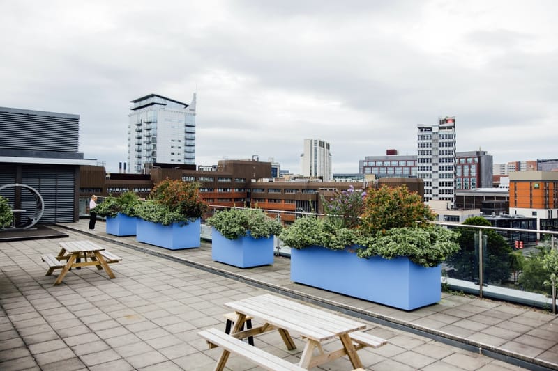 Orega - 1 Broadgate - 22-26 The Headrow, LS1 8EQ - Leeds image 10