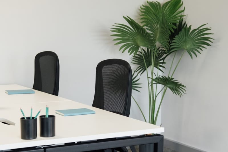 Wizu Workspace - Pacific House - Green Ln, B77 5PA - Tamworth image 10