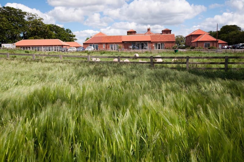 Crabtree Hall Business Centre - Bowbridge Lane - Little Holtby, DL7 - Northallerton image 5