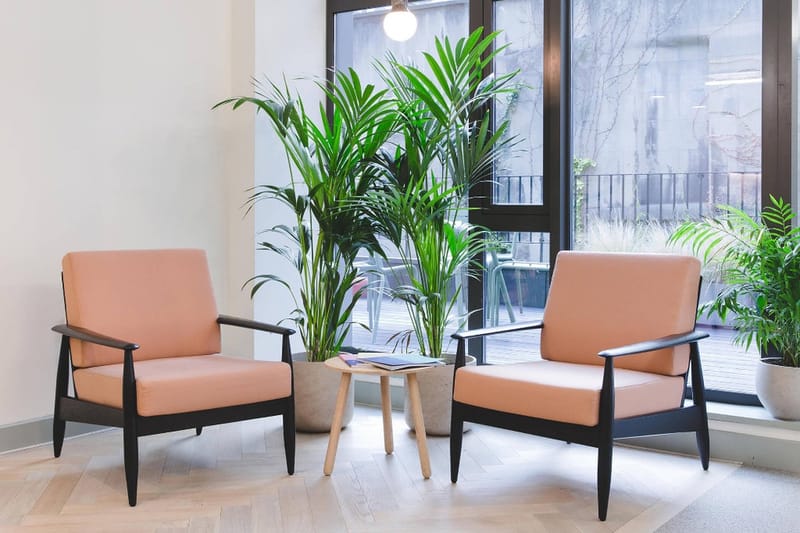FORA - 31-35 Kirby Street, EC1N - Farringdon image 18