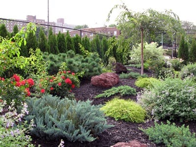 Executive Office Center at Fresh Meadows - 186th Street - Fresh Meadows - NY image 7