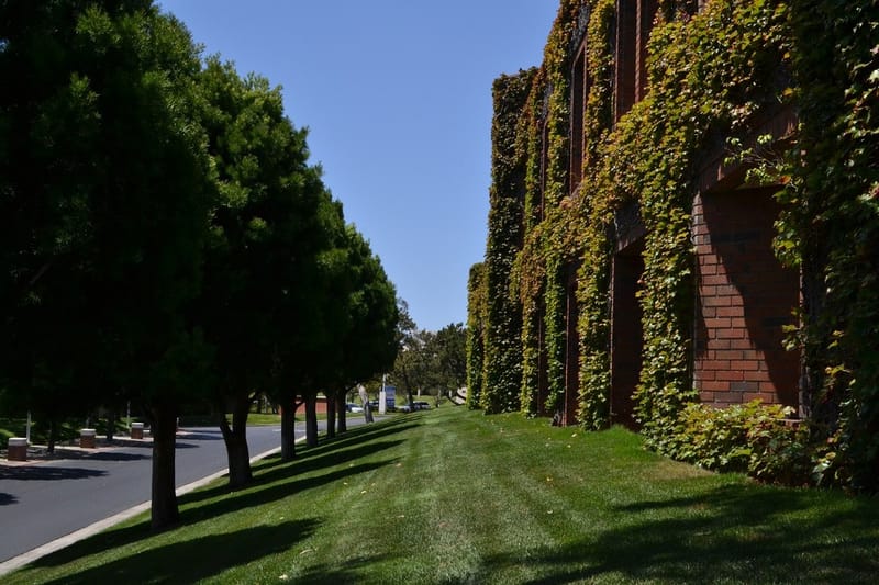 Plaza Executive Center Inc - Corporate Plaza - Newport Beach - CA image 4