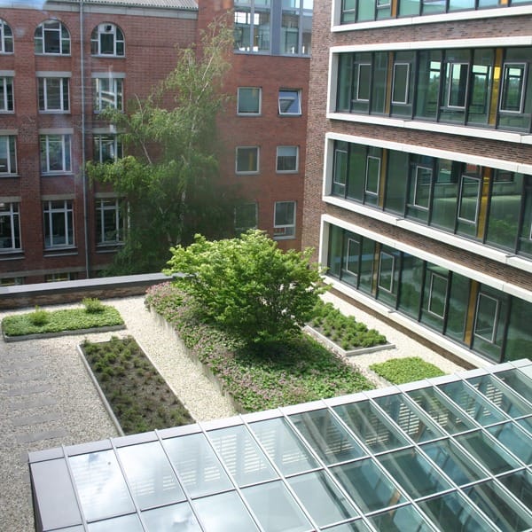Plug and Work (Regus) - Hanauer Landstrasse - Frankfurt image 2