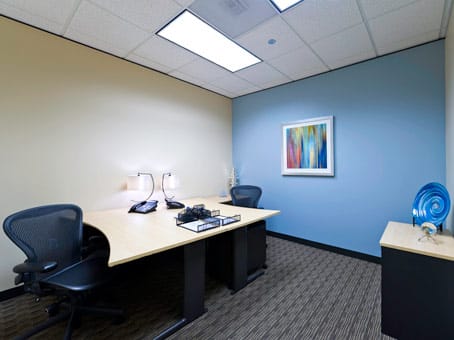 Regus - San Felipe Plaza - 5847 San Felipe - Houston - TX image 8