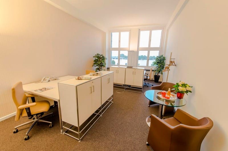 Satellite Office - Römischer Hof - Unter den Linden 10 - Berlin image 9