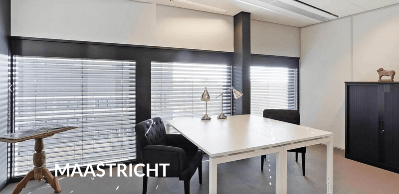 Offices for You - 31 Wim Duisenbergplantsoen - Maastricht image 6
