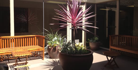 Barrister - 3838 West Carson Street - Torrance Executive Plaza 1 - CA image 3