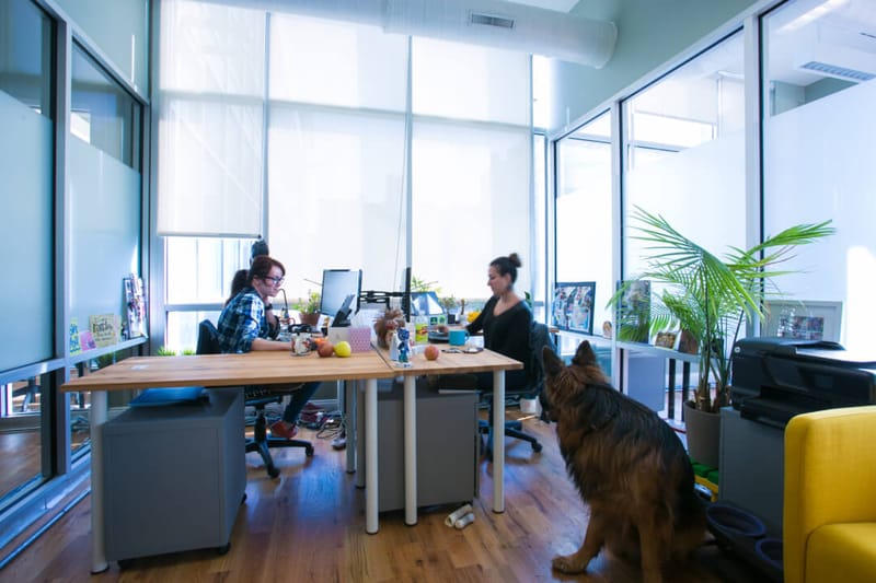 Green Desk - 147 Prince Street, 11201 - Brooklyn, NY image 3