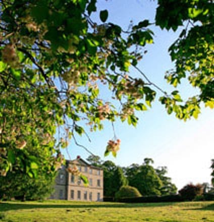 Exeid - Sampsan's Pavilion - Strelley Hall - Main Street, NG8 - Nottingham image 4