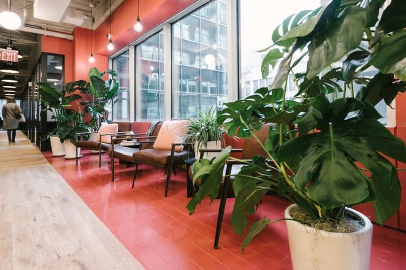 WeWork- 12 East 49th St , New York image 5
