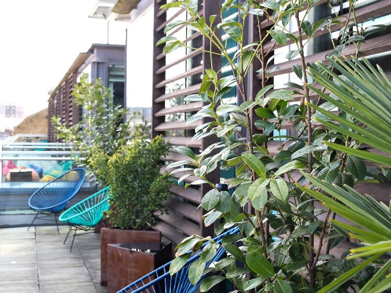 LABS (Managed 140 - 964 sqft) - Atrium - The Stables Market - Chalk Farm Road, NW1 8AH - Camden image 4
