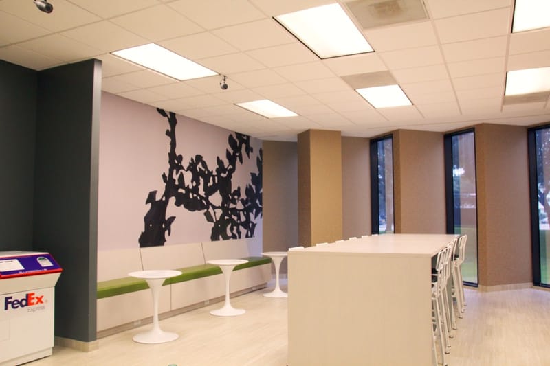 Boxer - 4800 Sugar Grove Boulevard, Houston image 3