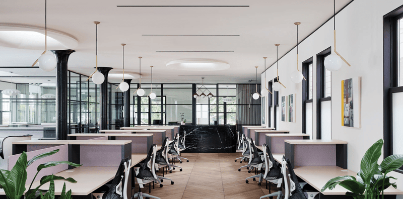 Canopy Space - Pacific Heights - 2193 Fillmore Street - San Francisco image 7