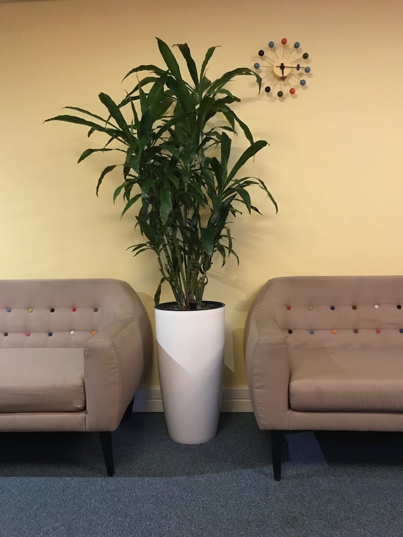 Desk Workspaces - Halifax House - 93-101 Bridge Street, M3 - Manchester image 4