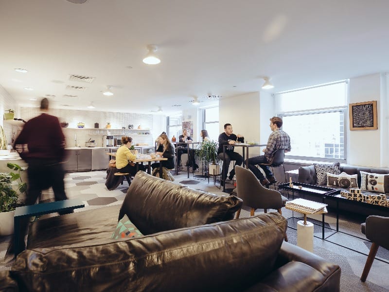 wework - 12130 Millennium Drive - Los Angeles - CA image 4