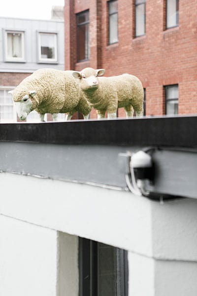Iconic Offices - 9 Pembroke Street - Dublin image 30