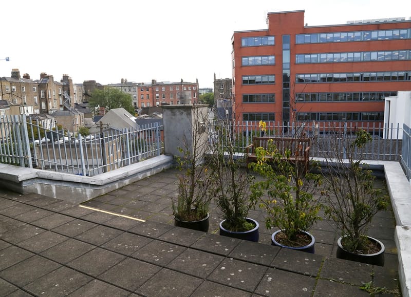 Pembroke Hall - Fitzwilliam House - 3-4 Pembroke Street Upper - Dublin image 11