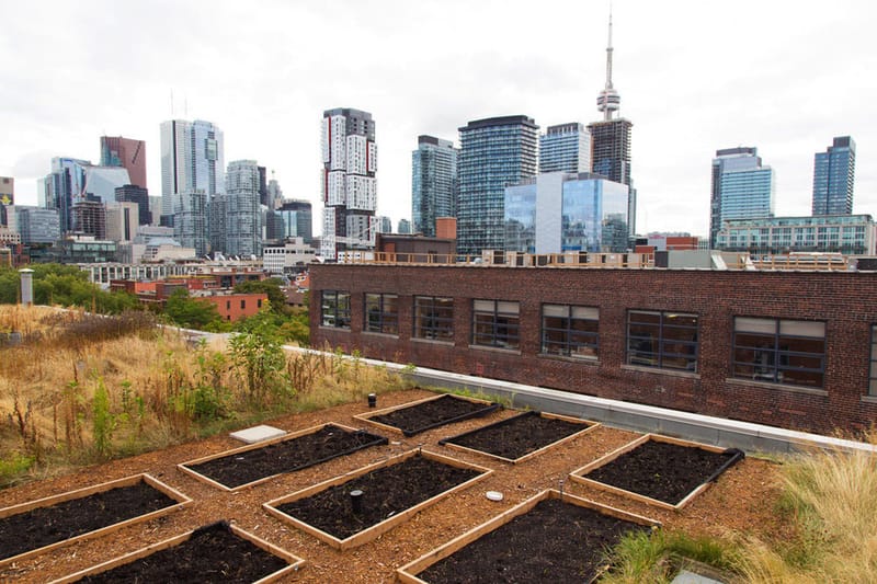 Workhaus - Spadina - 215 Spadina Avenue - Toronto - ON image 4
