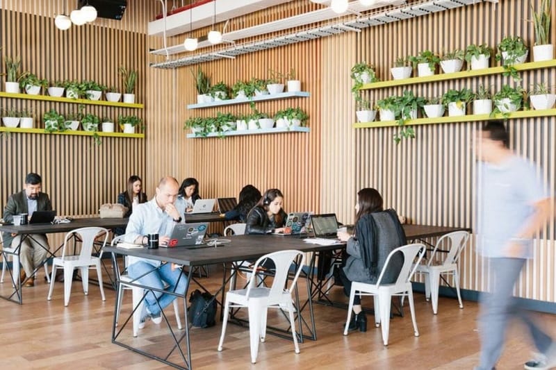 WeWork - 3101 Park Boulevard - Palo Alto - California image 6