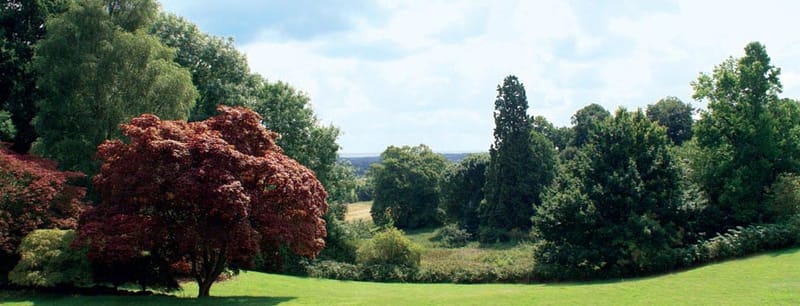 SP Robert Denholm House - Bletchingley Rd - Nutfield image 3