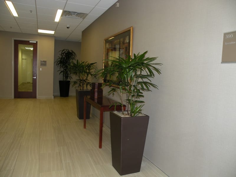 Enterprise Suites - 3900 Jermantown Rd - Fairfax image 4