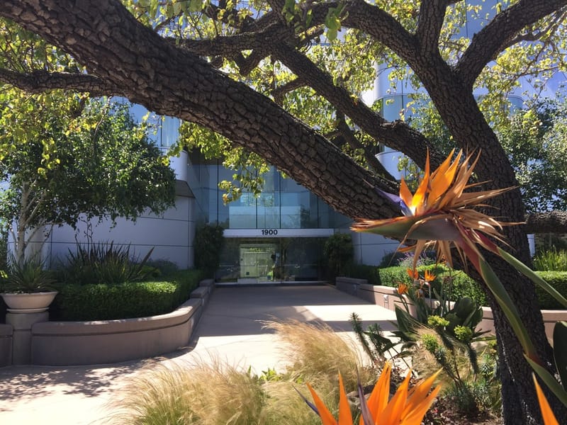 Pacific Workplaces - San Mateo - Atrium image 2