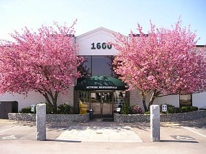 1600 Executive Center - Boston-Providence Hwy. - Walpole image 2