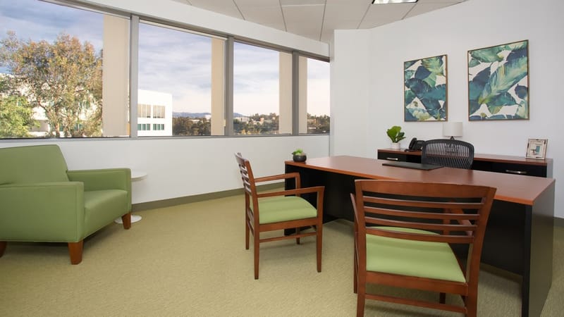Carr Workplaces - Laguna Niguel - CA image 8