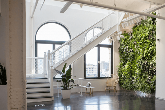 Instagram new office - living wall