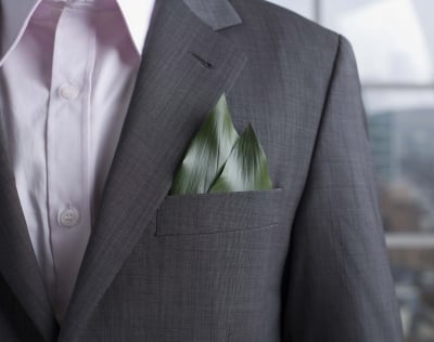 Businessman with plant leaves in pocket