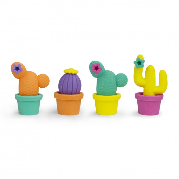 Cactus gift guide