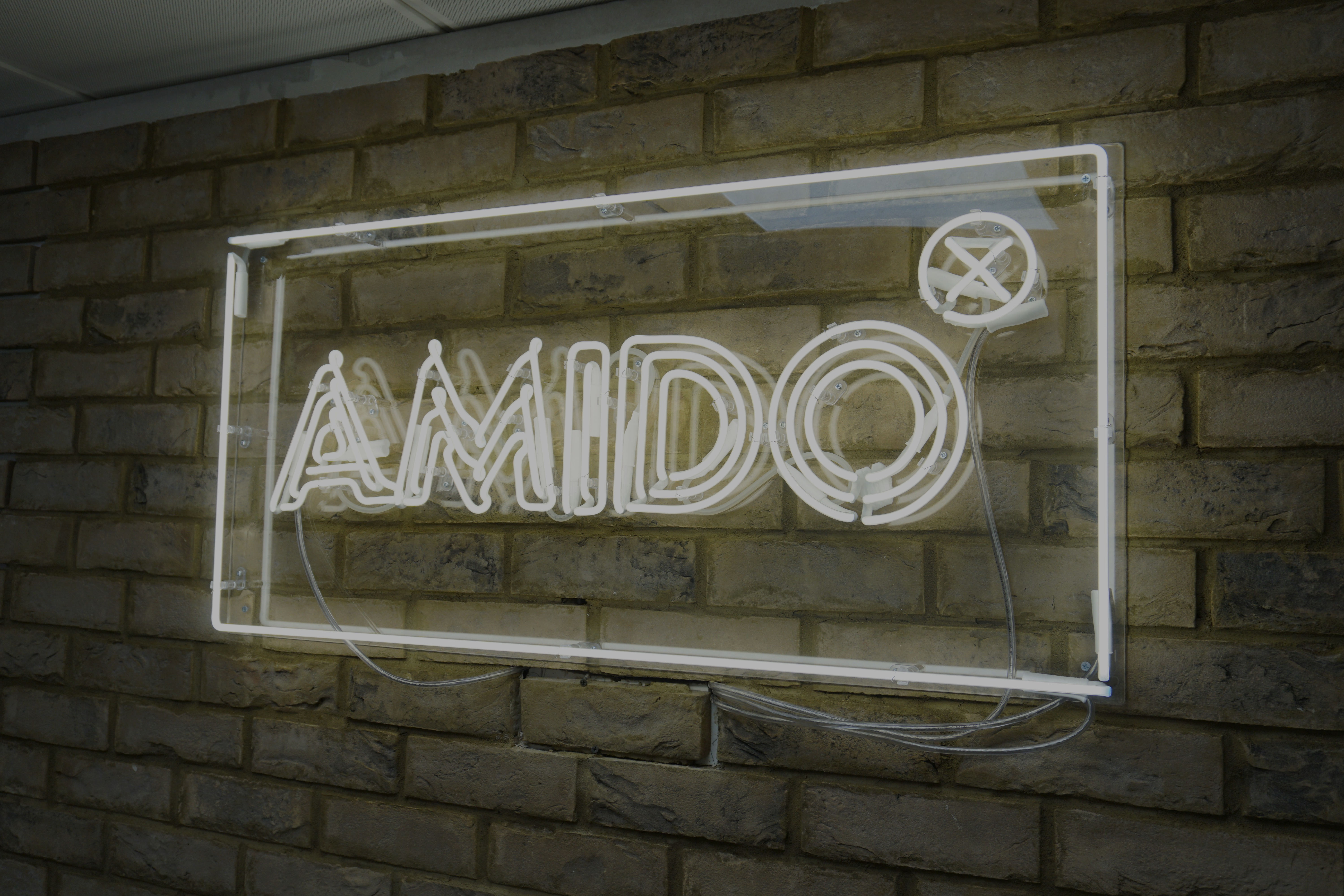 Client in the Spotlight: Amido