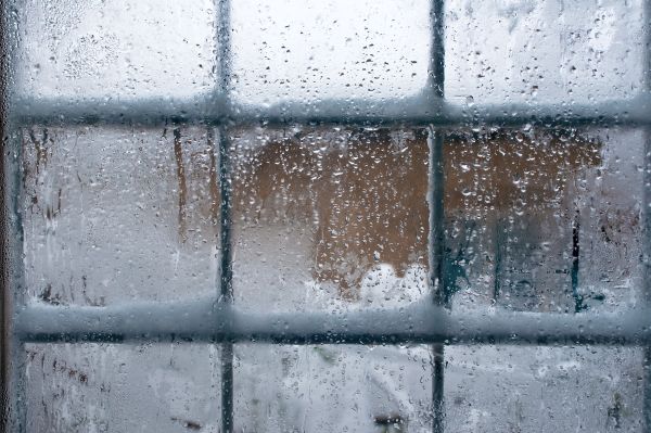 winter window protection