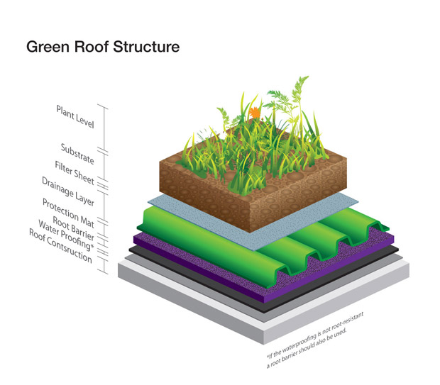 Green Roofing Plan
