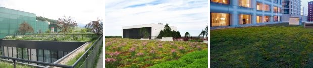 Green Roofing Examples